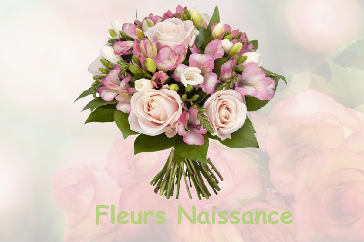 fleurs naissance MAUVAGES