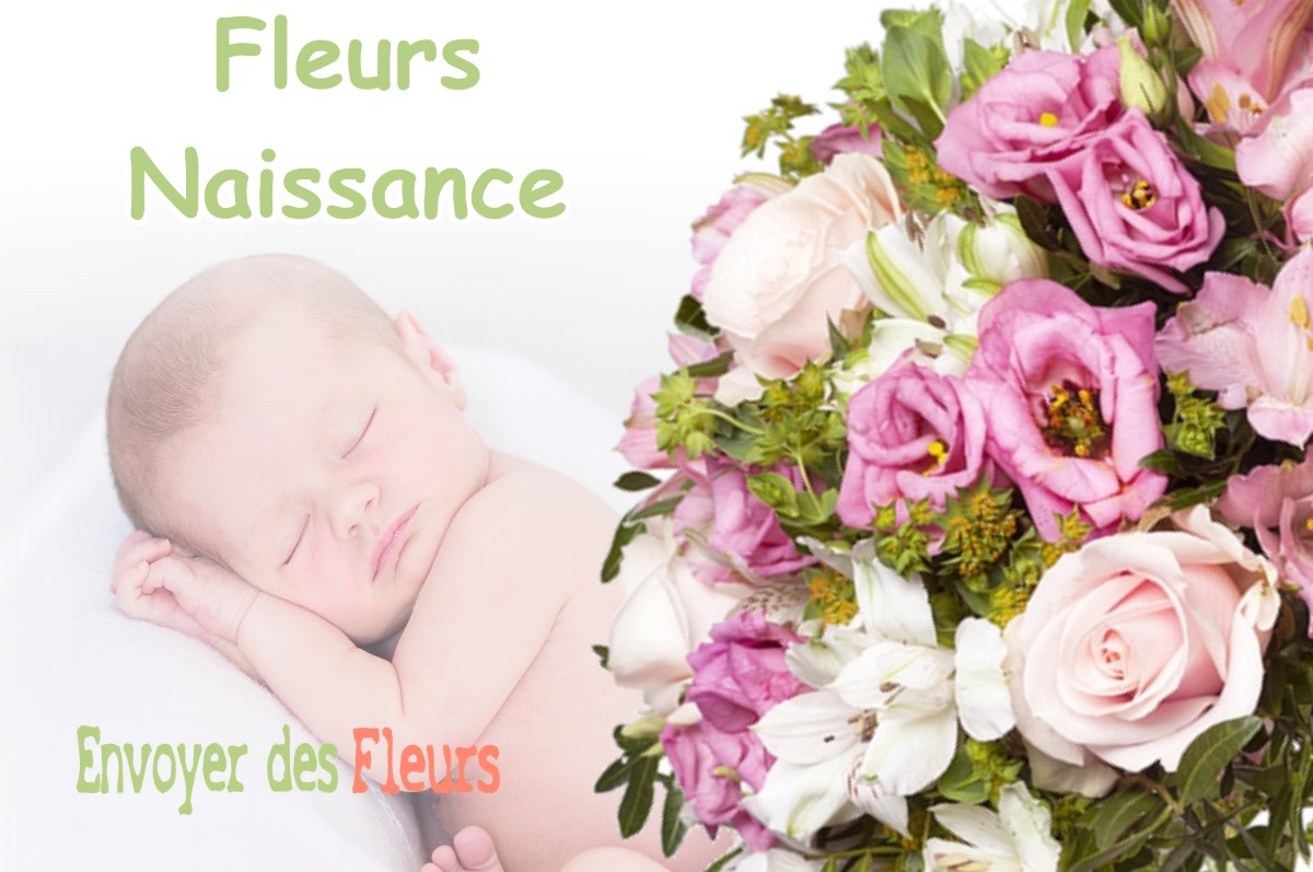 lIVRAISON FLEURS NAISSANCE à MAUVAGES